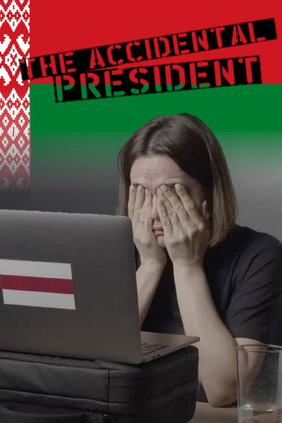 Póster de The Accidental President