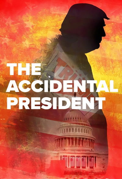 Póster de The Accidental President