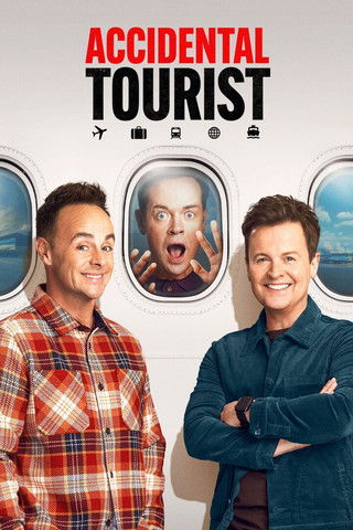 Póster de The Accidental Tourist