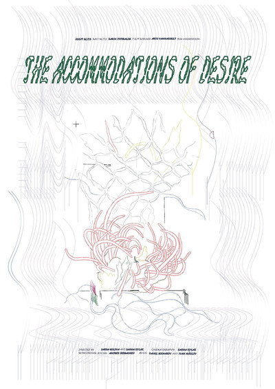 Póster de The Accommodations of Desire