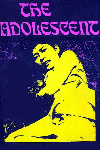 Póster de The Adolescent