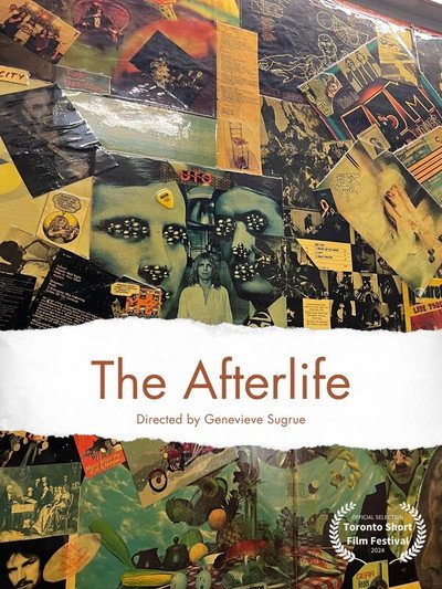 Póster de The Afterlife
