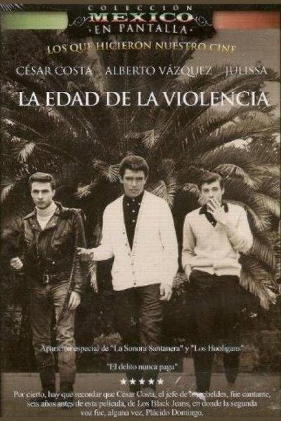 Póster de The Age of Violence