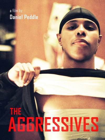 Póster de The Aggressives