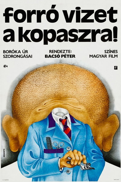 Póster de The Agony of Mr. Boroka