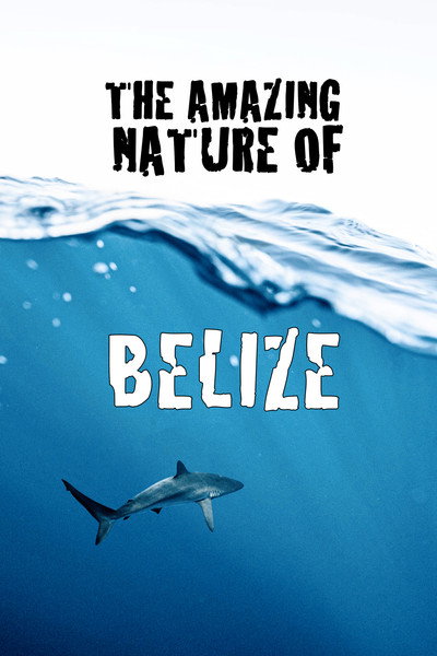Póster de The Amazing Nature of Belize