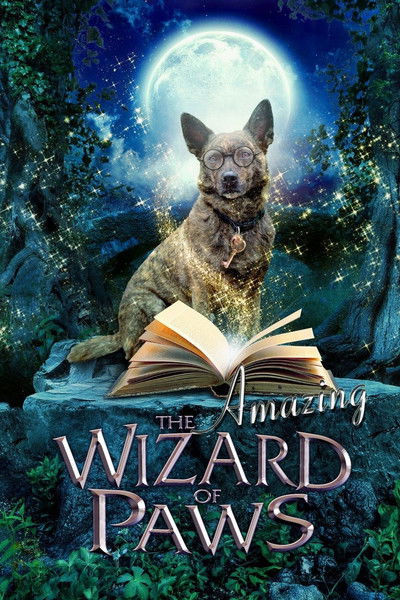 Póster de The Amazing Wizard of Paws