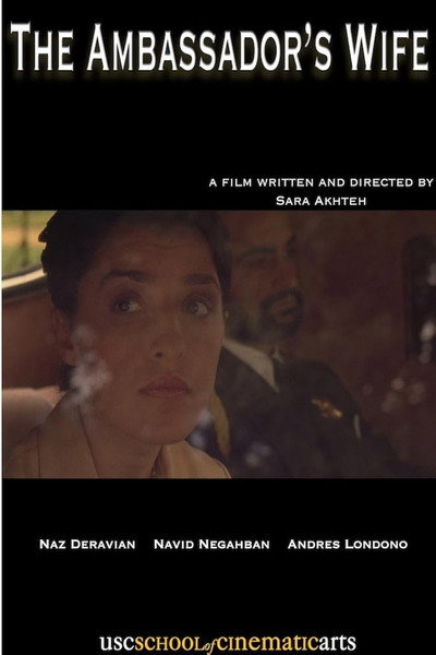 Póster de The Ambassador's Wife