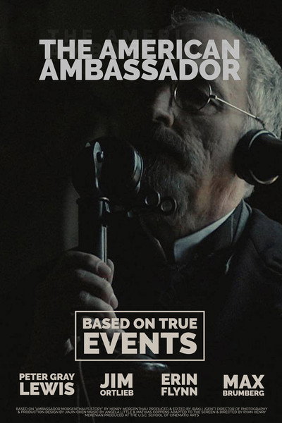 Póster de The American Ambassador