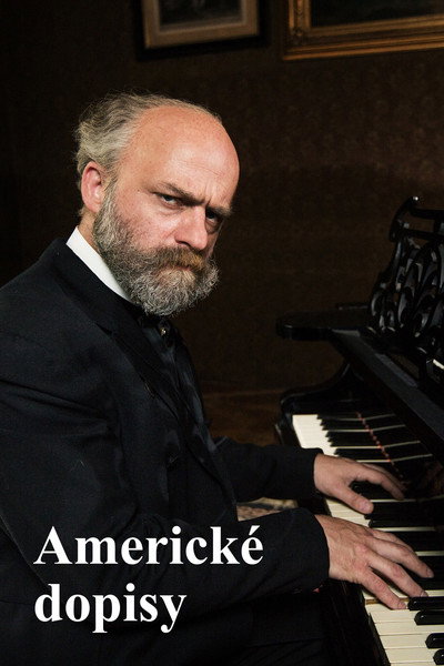 Póster de The American Letters