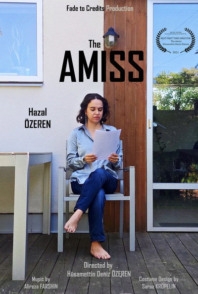 Póster de The Amiss