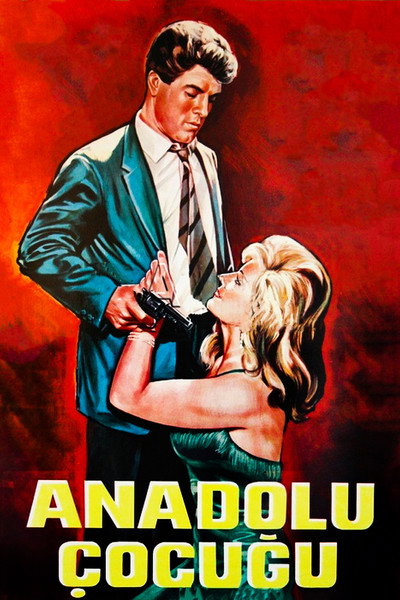 Póster de The Anatolian Guy