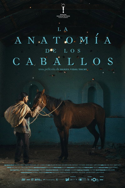 Póster de The Anatomy of the Horses
