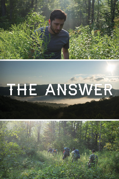 Póster de The Answer