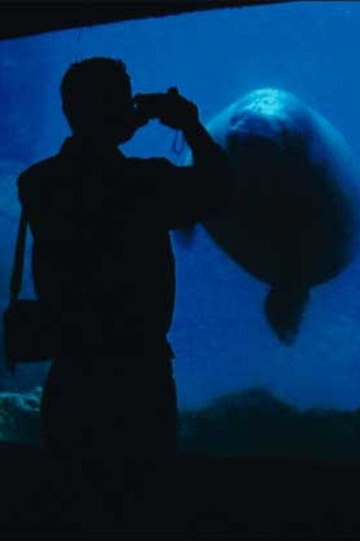 Póster de The Aquarium