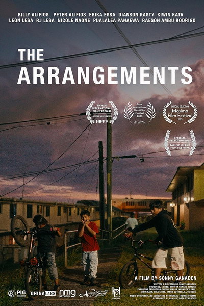 Póster de The Arrangements