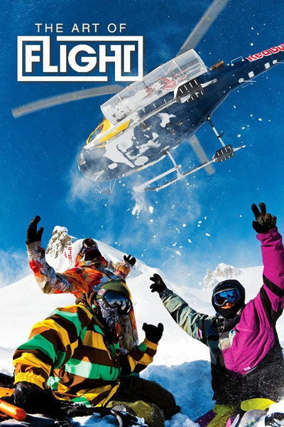 Póster de The Art of Flight