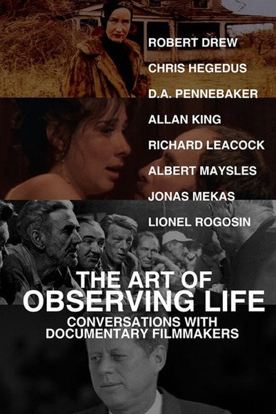 Póster de The Art of Observing Life