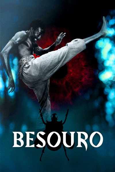 Póster de The Assailant