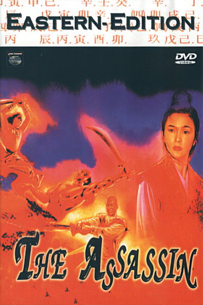Póster de The Assassin