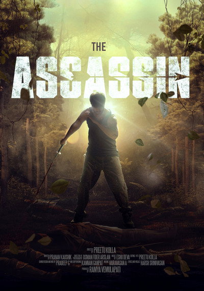 Póster de The Assassin
