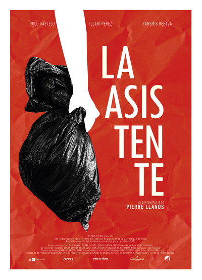 Póster de The Assistant