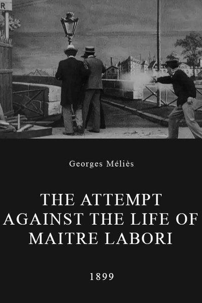 Póster de The Attempt Against the Life of Maitre Labori