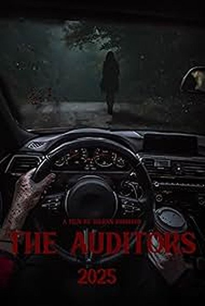 Póster de The Auditor