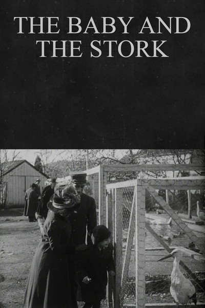 Póster de The Baby and the Stork