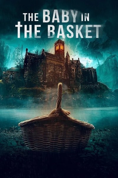 Póster de The Baby in the Basket