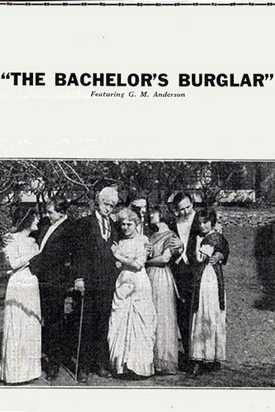 Póster de The Bachelor's Burglar