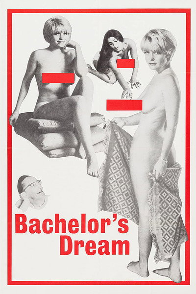 Póster de The Bachelor's Dreams