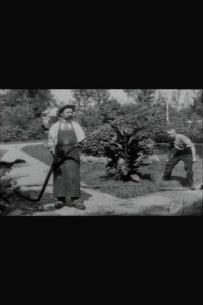 Póster de The Bad Boy and the Gardener