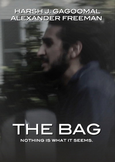 Póster de The Bag