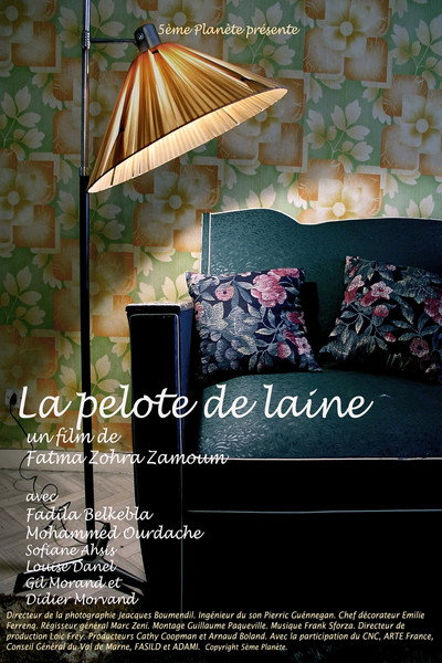 Póster de The Ball of Wool