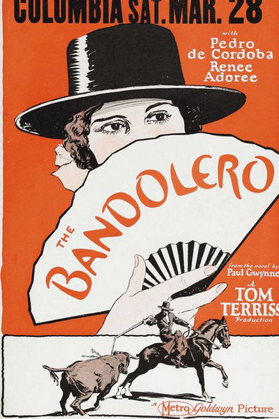 Póster de The Bandolero