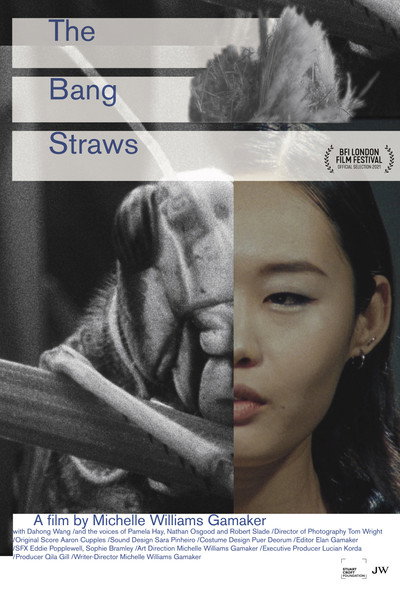 Póster de The Bang Straws