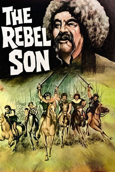 Póster de The Barbarian and the Lady