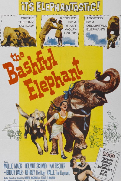 Póster de The Bashful Elephant