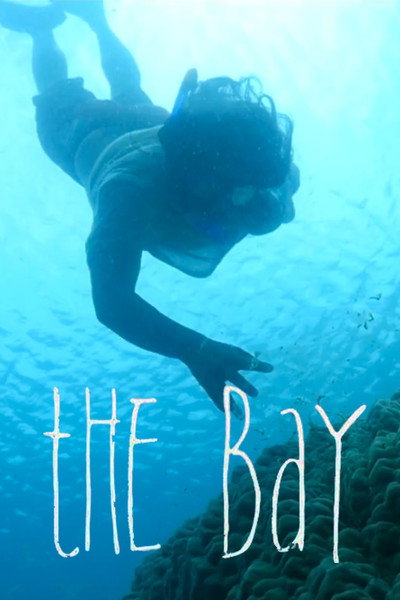 Póster de The Bay