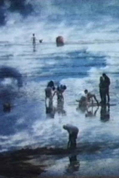 Póster de The Beach