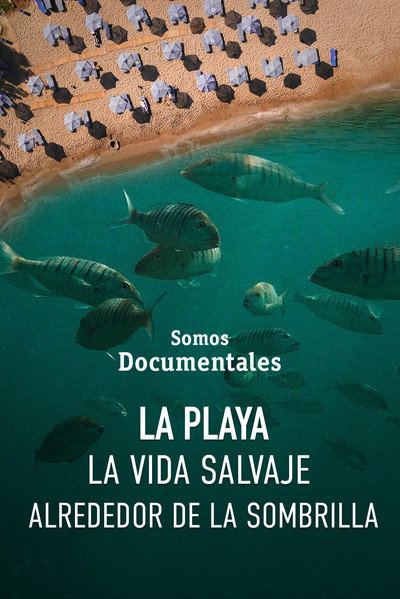 Póster de The Beach: Wildlife Around the Parasol