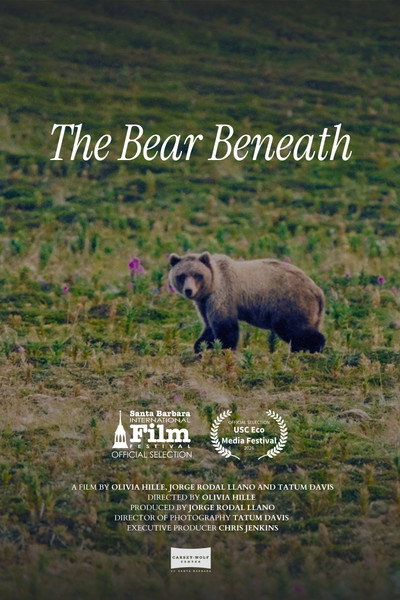 Póster de The Bear Beneath