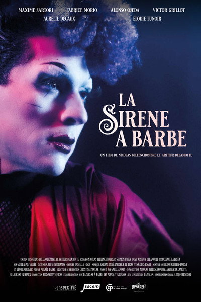 Póster de The bearded mermaid