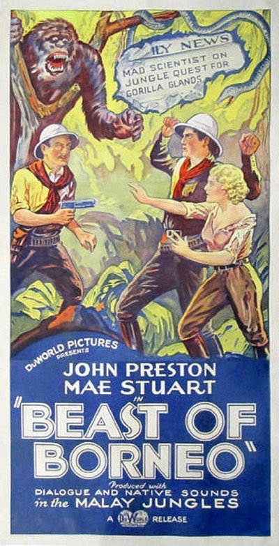 Póster de The Beast of Borneo
