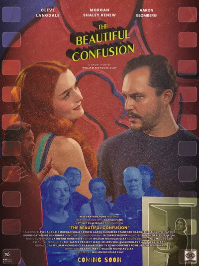Póster de The Beautiful Confusion