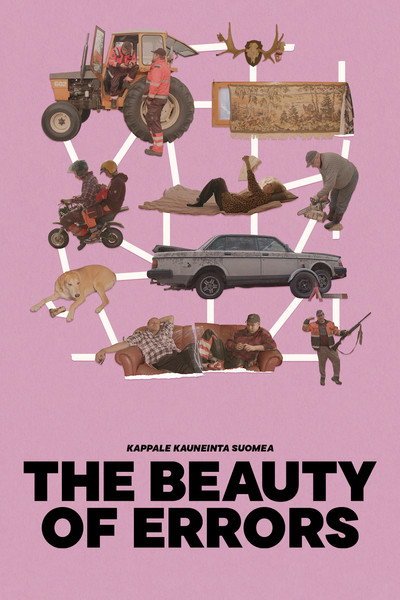Póster de The Beauty of Errors