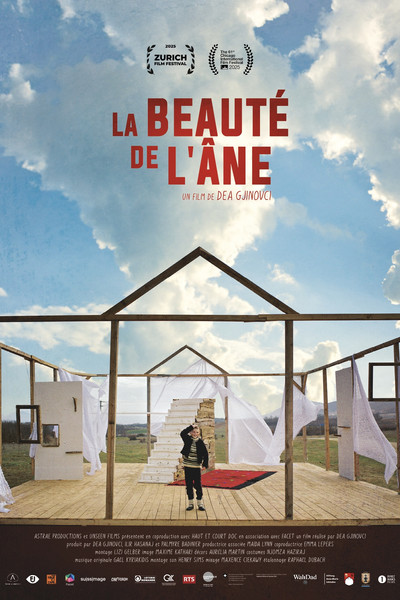 Póster de The Beauty of the Donkey