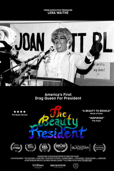 Póster de The Beauty President