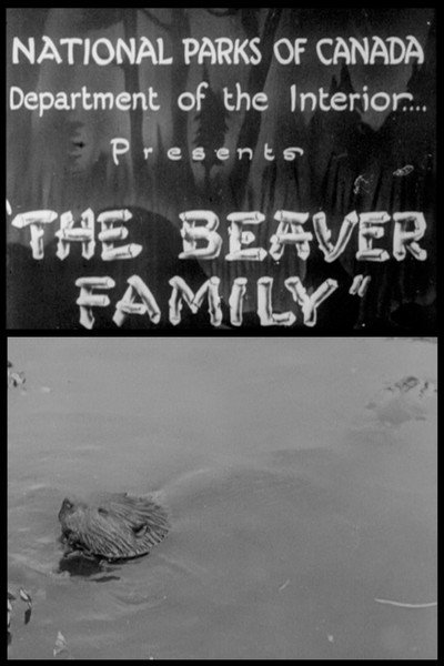 Póster de The Beaver Family